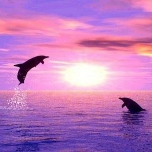 Meet your Posher, Shani